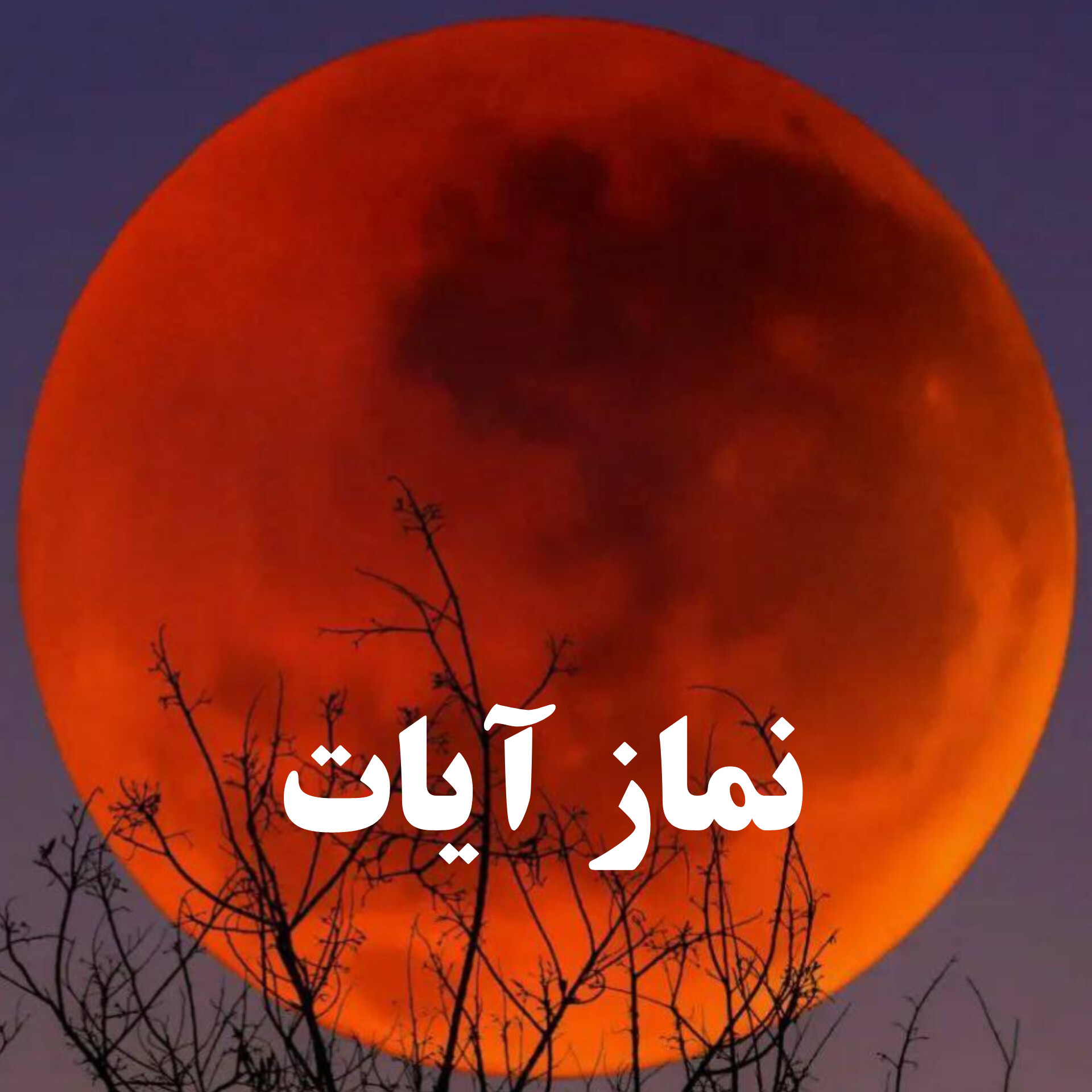 امشب نماز آیات بخوانیم؟ کیفیت نماز آیات چگونه است؟ امشب نماز آیات بخوانیم؟ کیفیت نماز آیات چگونه است؟